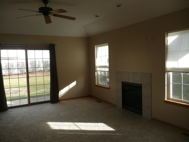 1391 Somerset Dr, Beecher, IL 60401 photo 11
