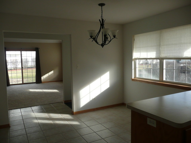 1391 Somerset Dr, Beecher, IL 60401 photo 6