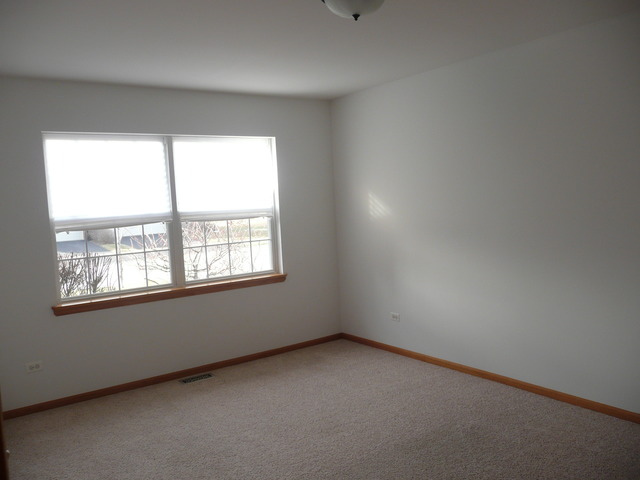 1391 Somerset Dr, Beecher, IL 60401 photo 18