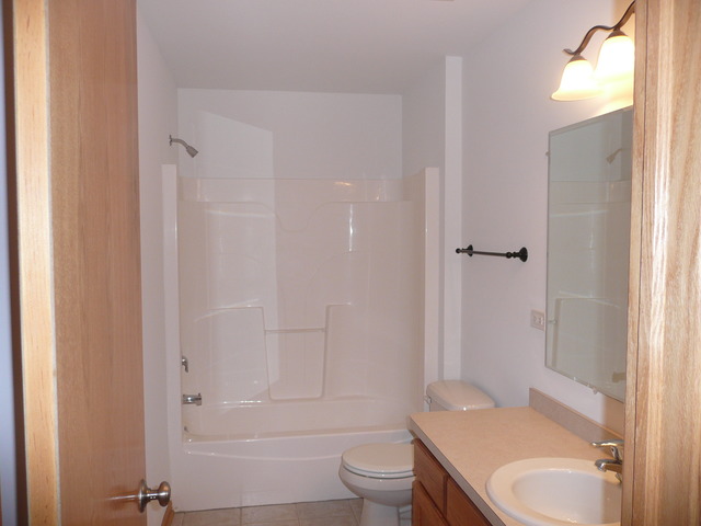 1391 Somerset Dr, Beecher, IL 60401 photo 13