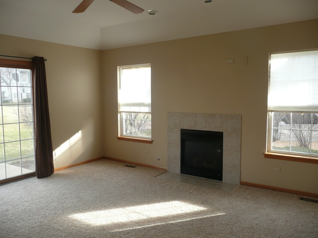 1391 Somerset Dr, Beecher, IL 60401 photo 10