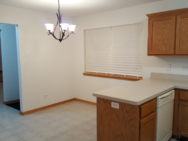 1391 Somerset Dr, Beecher, IL 60401 photo 5