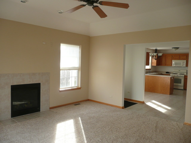 1391 Somerset Dr, Beecher, IL 60401 photo 9