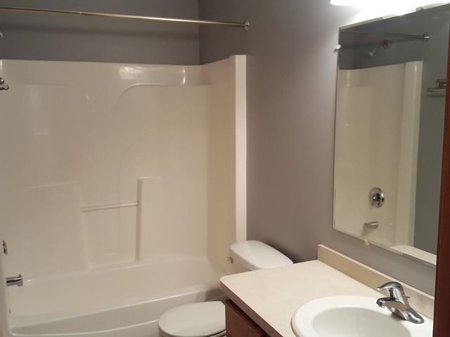 1391 Somerset Dr, Beecher, IL 60401 photo 16