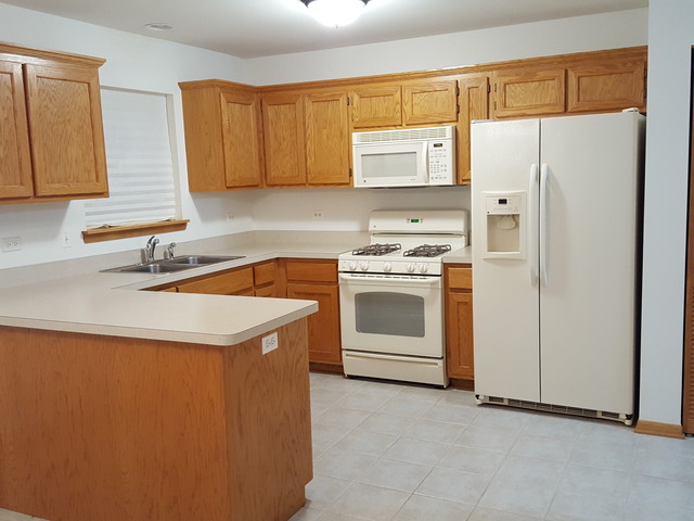 1391 Somerset Dr, Beecher, IL 60401 photo 3