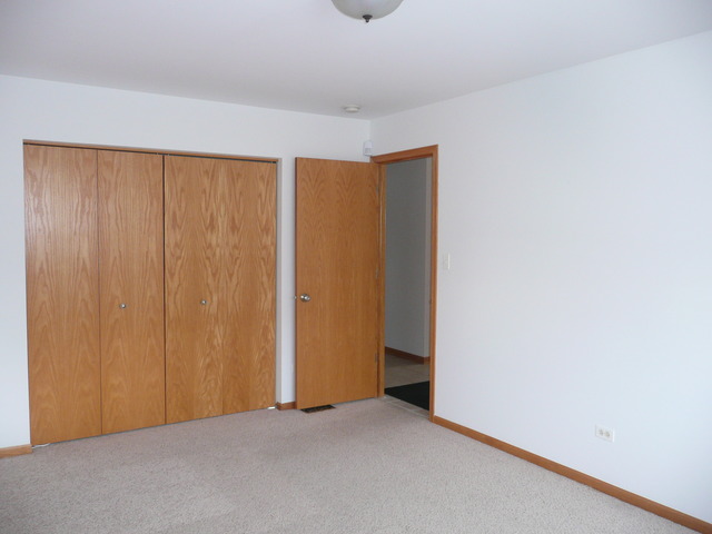 1391 Somerset Dr, Beecher, IL 60401 photo 17