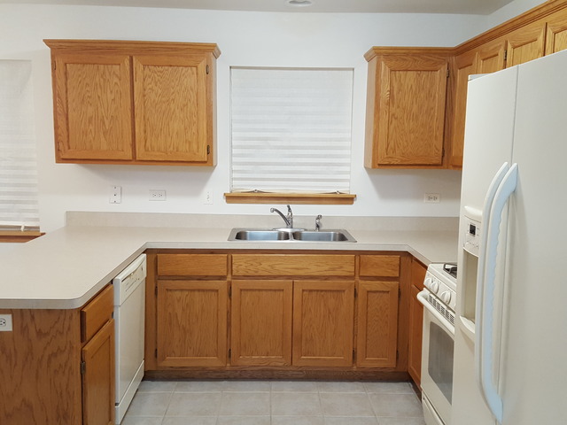 1391 Somerset Dr, Beecher, IL 60401 photo 4