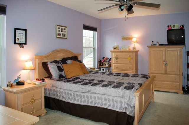 553 Eastwick Ln, Bartlett, IL 60103 photo 9