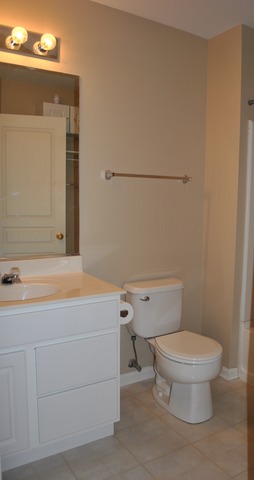 2702 Bay View Cir, Algonquin, IL 60102 photo 10