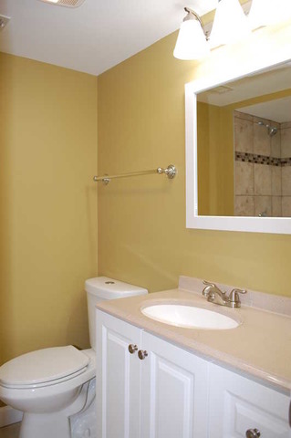 1875 Grantham Pl, Hoffman Estates, IL 60169 photo 9