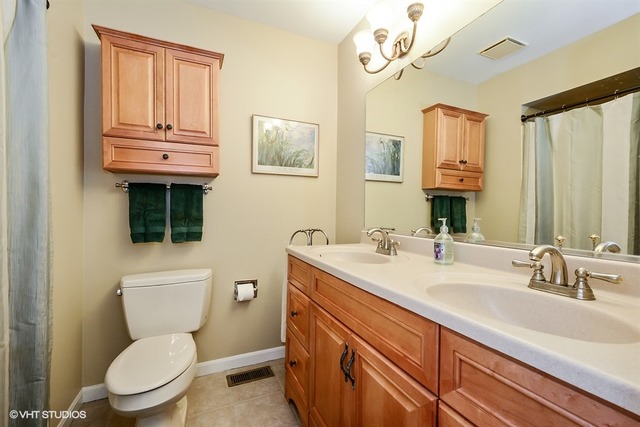 4419 Thornbark Ct, Hoffman Estates, IL 60192 photo 10