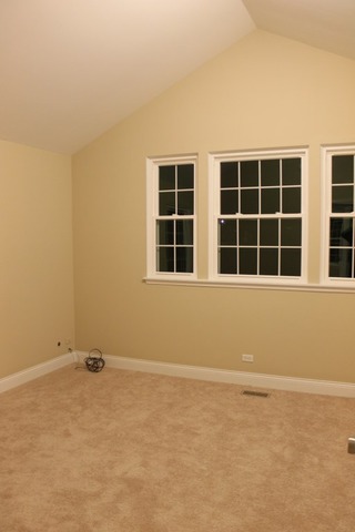 270 Superior Cir, Bartlett, IL 60103 photo 20