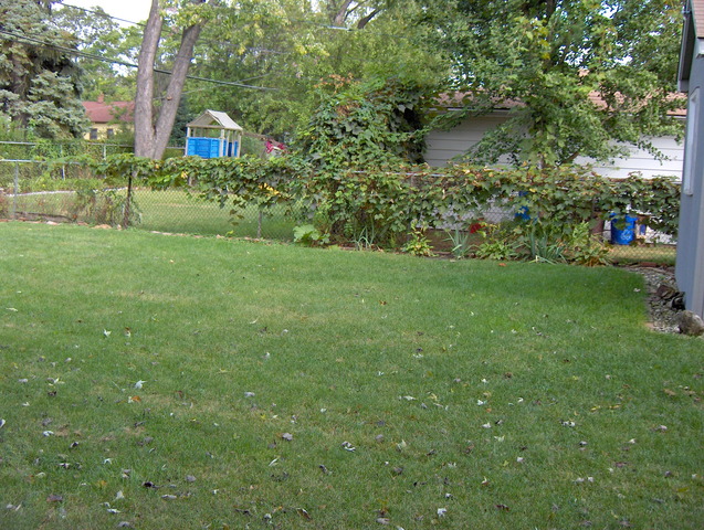 195 E North Ave, Elmhurst, IL 60126 photo 22