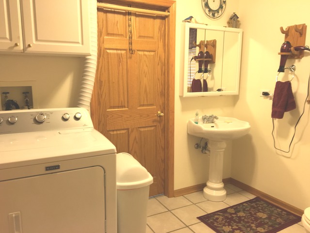 16213 S Serenity Dr, Plainfield, IL 60586 photo 14