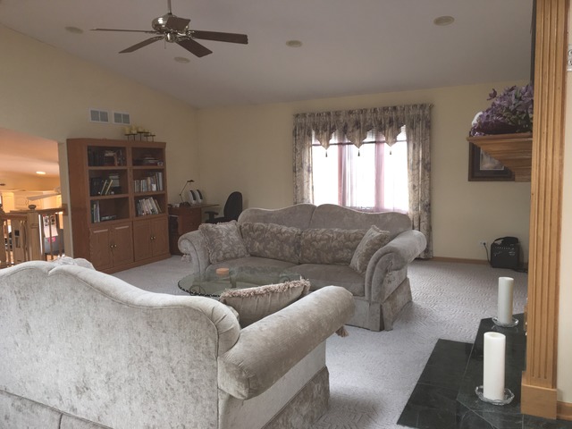 16213 S Serenity Dr, Plainfield, IL 60586 photo 4