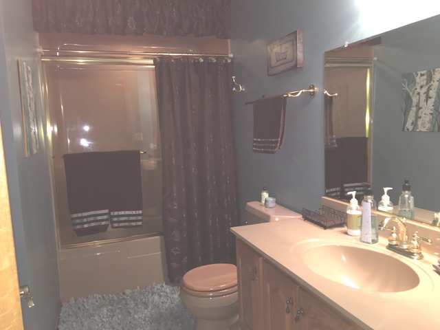 16213 S Serenity Dr, Plainfield, IL 60586 photo 11
