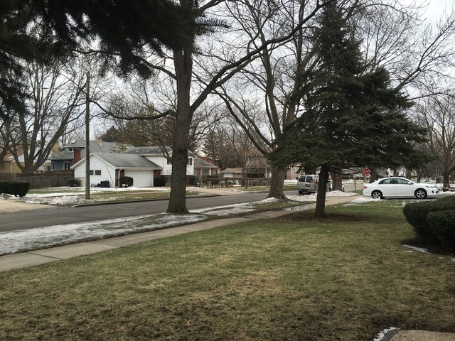 1346 White St, Des Plaines, IL 60018 photo 16