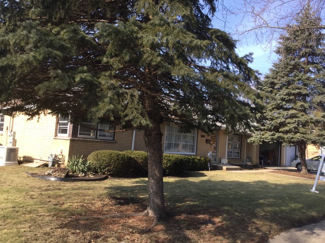 1346 White St, Des Plaines, IL 60018 photo 1