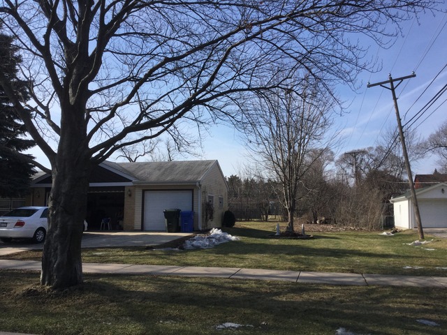 1346 White St, Des Plaines, IL 60018 photo 15