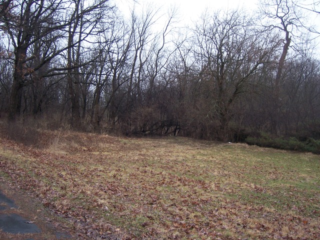 3517 Spring Rd, Oak Brook, IL 60523 photo 9