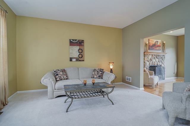 11315 Maplewood Dr, Plainfield, IL 60585 photo 3