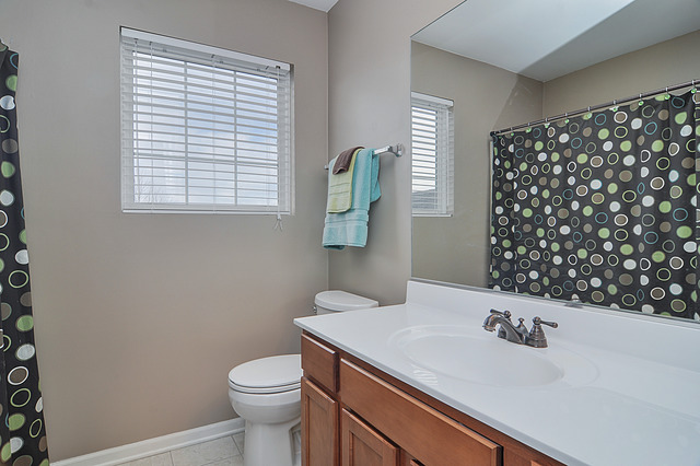 11315 Maplewood Dr, Plainfield, IL 60585 photo 22
