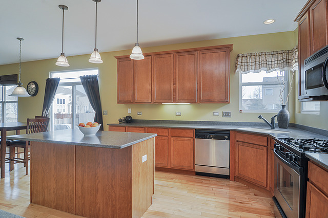 11315 Maplewood Dr, Plainfield, IL 60585 photo 7
