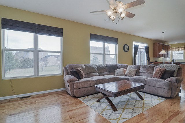 11315 Maplewood Dr, Plainfield, IL 60585 photo 12