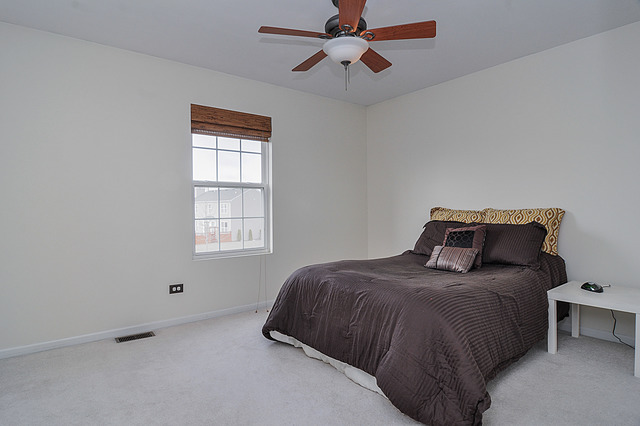 11315 Maplewood Dr, Plainfield, IL 60585 photo 20