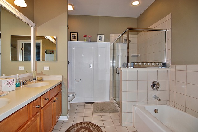 204 Lake St, Elgin, IL 60120 photo 14