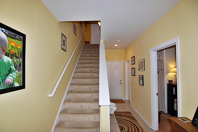 204 Lake St, Elgin, IL 60120 photo 2