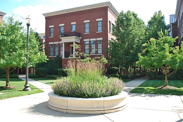 204 Lake St, Elgin, IL 60120 photo 20