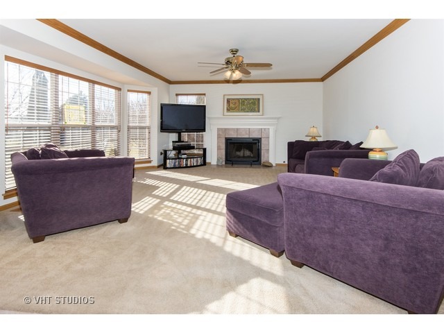 23841 Pond View Dr, Plainfield, IL 60585 photo 5