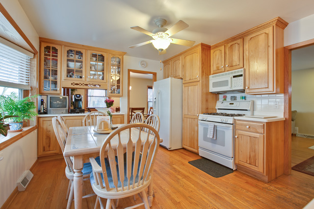 693 Madelyn Dr, Des Plaines, IL 60016 photo 6