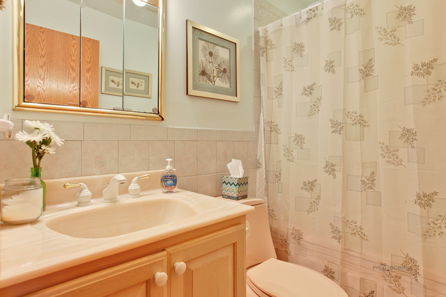 693 Madelyn Dr, Des Plaines, IL 60016 photo 11