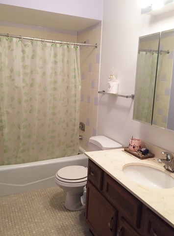 137 Stanhope Dr #C, Willowbrook, IL 60527 photo 9