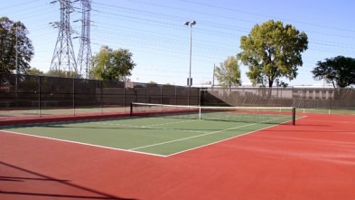 954 Walter Ave, Des Plaines, IL 60016 photo 22