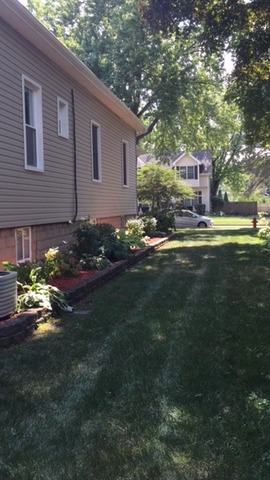 954 Walter Ave, Des Plaines, IL 60016 photo 19