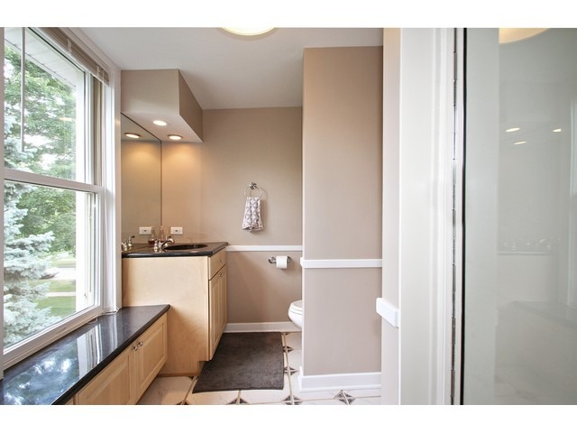 954 Walter Ave, Des Plaines, IL 60016 photo 12