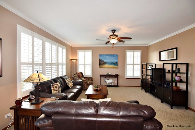 269 Sonora Dr, Elgin, IL 60124 photo 9