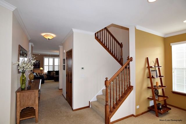 269 Sonora Dr, Elgin, IL 60124 photo 7