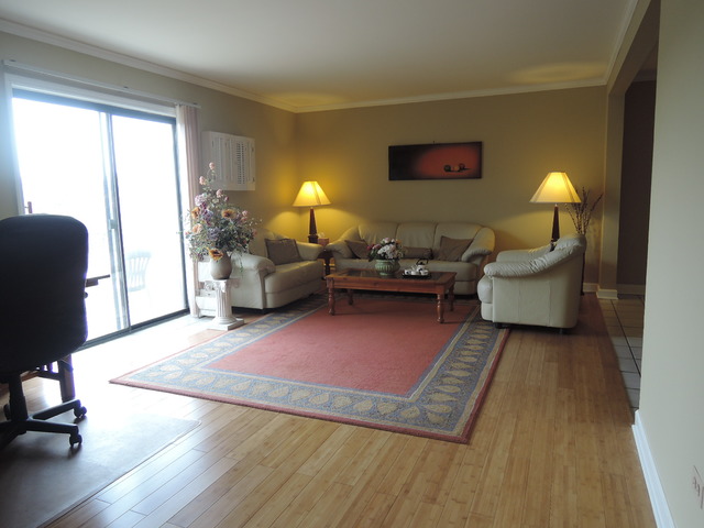 124 E Bailey Rd #L, Naperville, IL 60565 photo 2