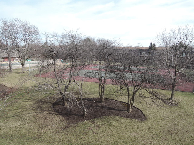 124 E Bailey Rd #L, Naperville, IL 60565 photo 16