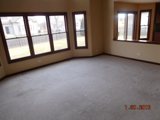 13233 Millbank Dr, Plainfield, IL 60544 photo 12