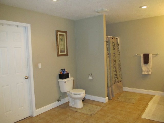 440 Rudin Dr, Clifton, IL 60927 photo 13