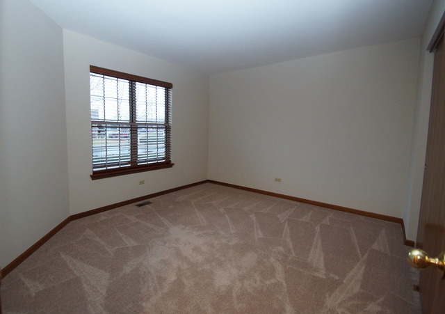21002 W Hazelnut Ln, Plainfield, IL 60544 photo 20