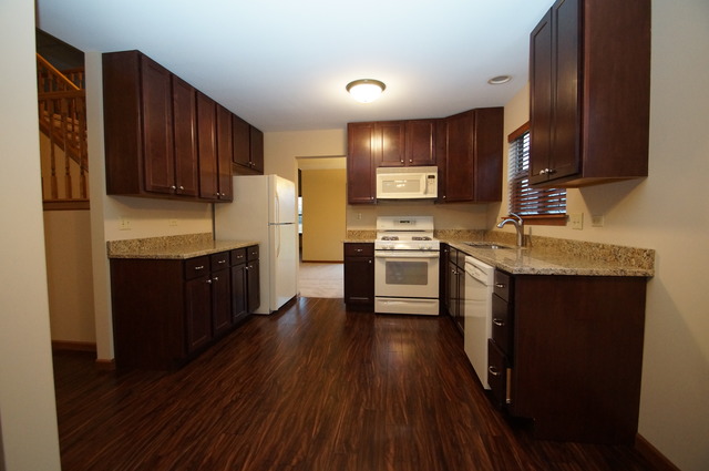 21002 W Hazelnut Ln, Plainfield, IL 60544 photo 4