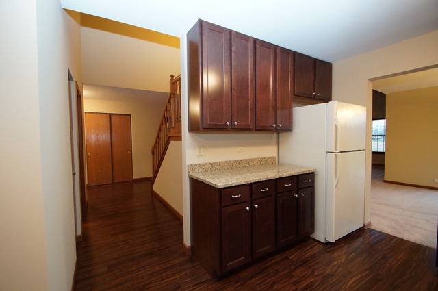21002 W Hazelnut Ln, Plainfield, IL 60544 photo 5