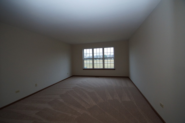21002 W Hazelnut Ln, Plainfield, IL 60544 photo 16