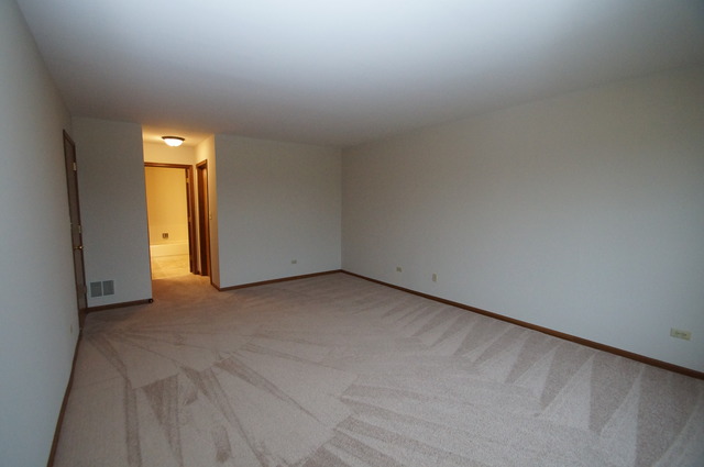 21002 W Hazelnut Ln, Plainfield, IL 60544 photo 15